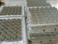 17 LBS Yumurta Viyol Kalıbı: Üstün Koruma ve Dayanıklılık